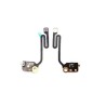 Antenna WIFI iPhone 6 Plus