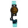 Flat Tasto Home iPhone 5c